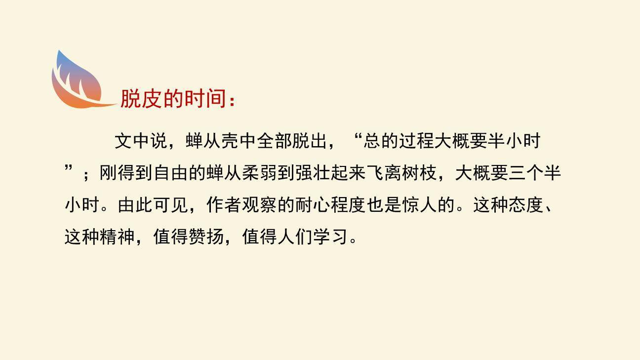 蝉PPT课件52