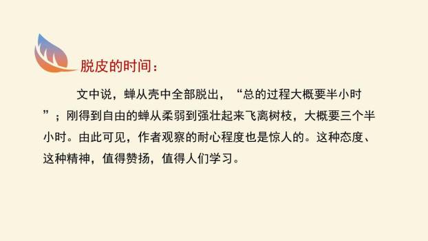 蝉PPT课件52