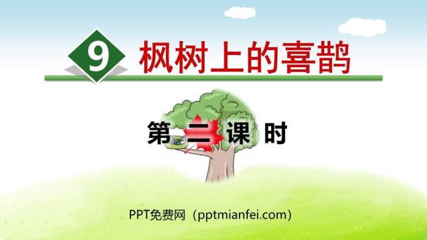 枫树上的喜鹊PPT课件70