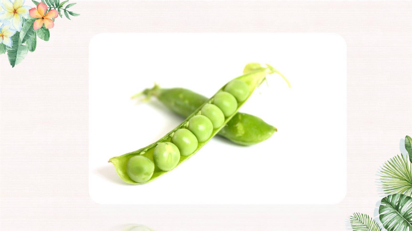 植物妈妈有办法PPT课件58