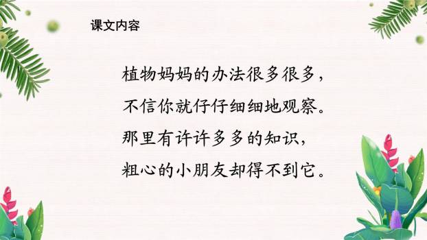 植物妈妈有办法PPT课件59