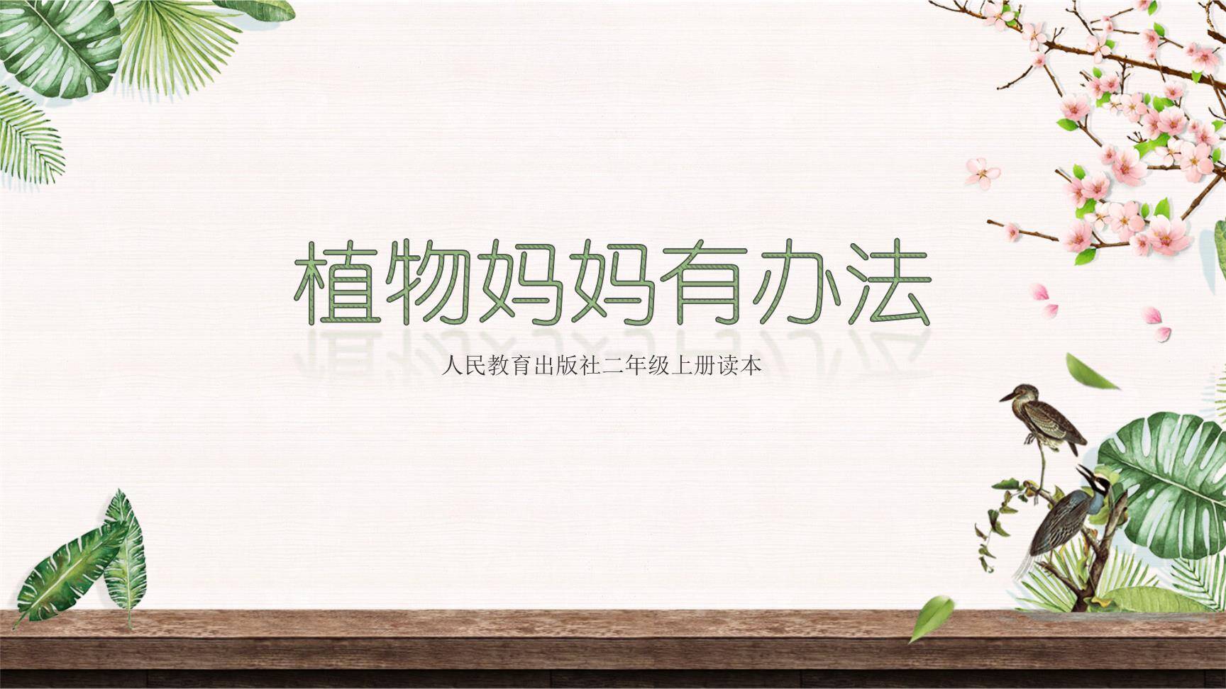 植物妈妈有办法PPT课件50