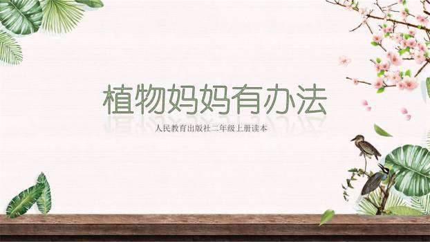 植物妈妈有办法PPT课件50