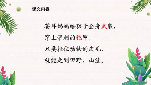 植物妈妈有办法PPT课件53