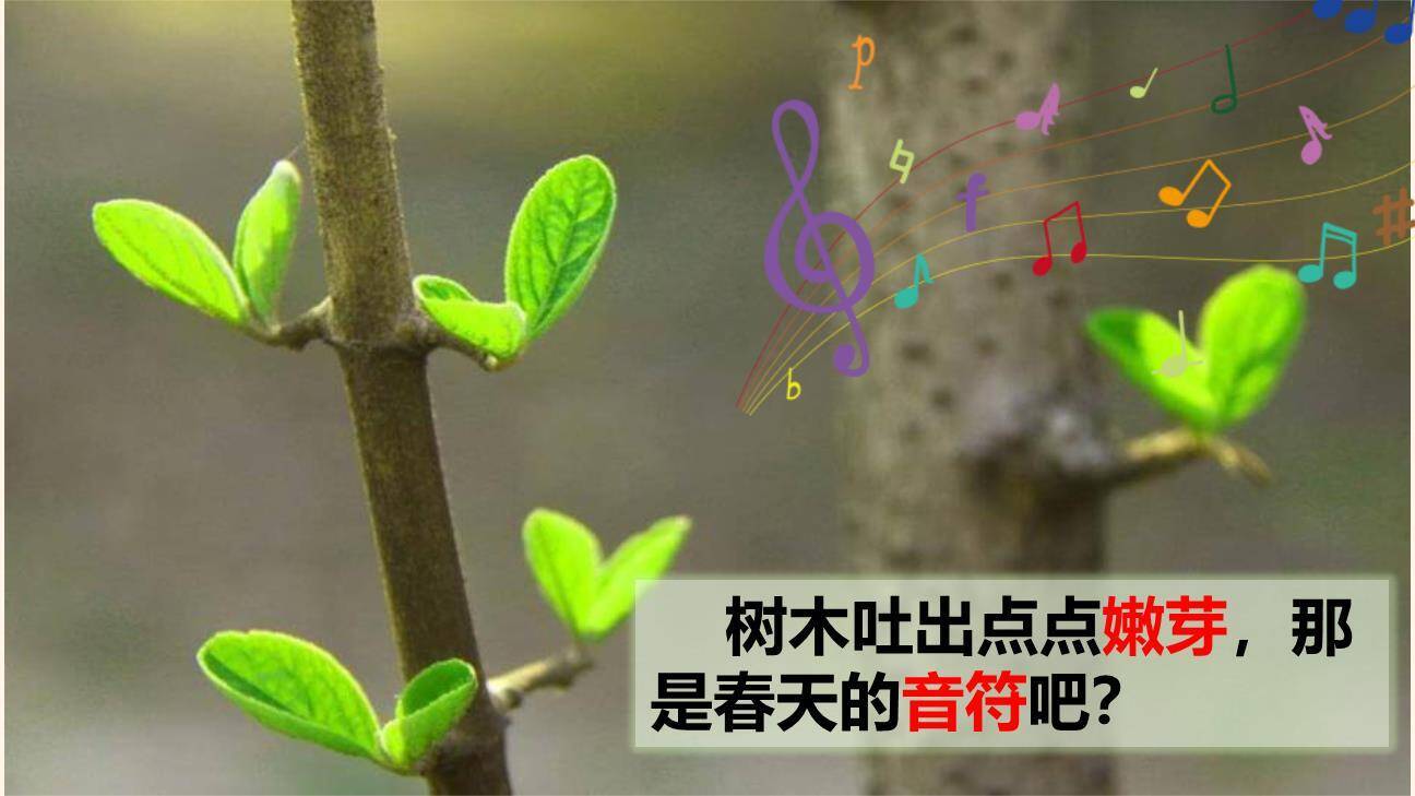 找春天PPT课件43