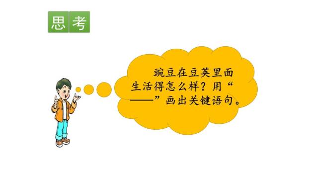 一个豆荚里的五粒豆PPT课件86