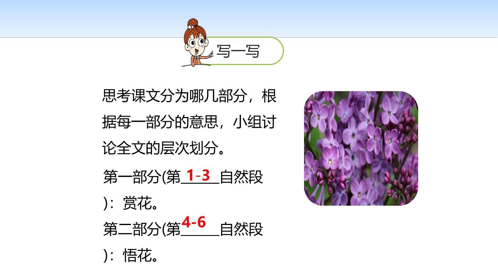 丁香结PPT课件18