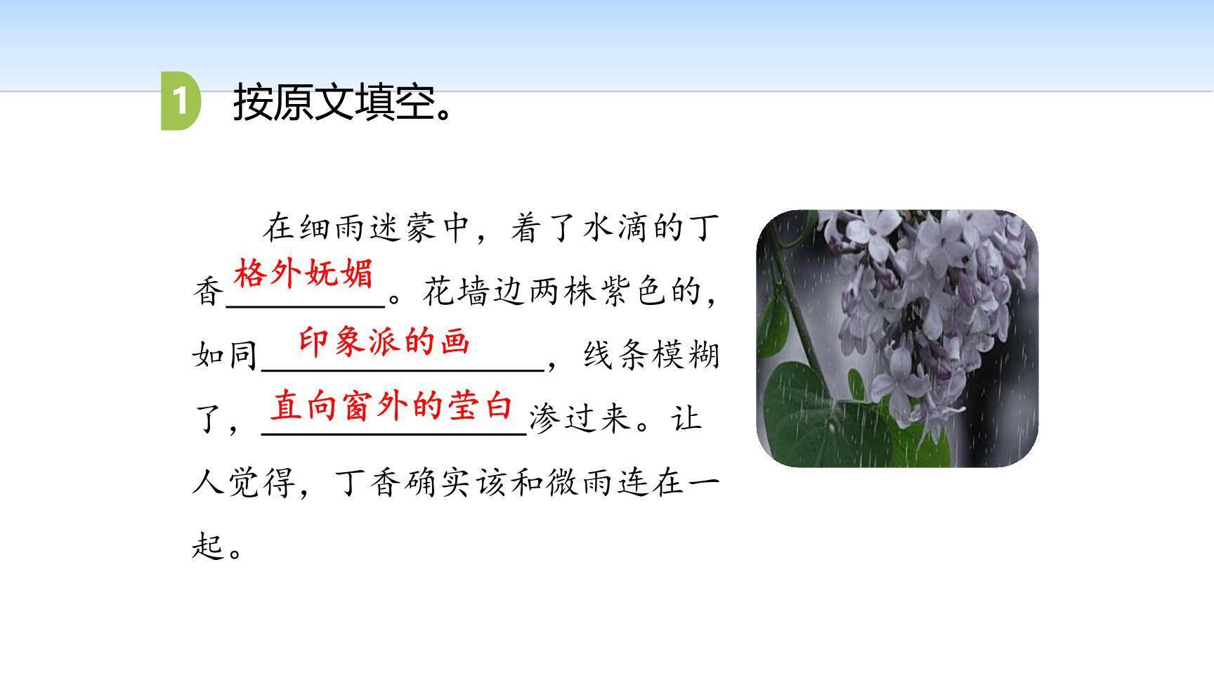 丁香结PPT课件19