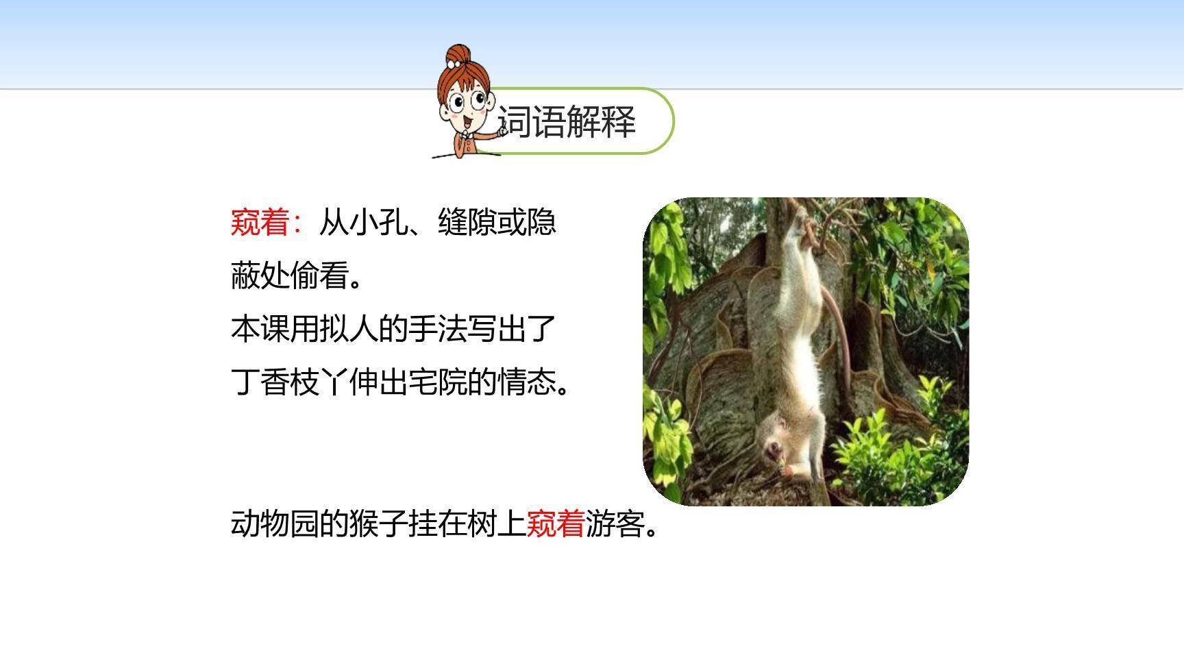 丁香结PPT课件12