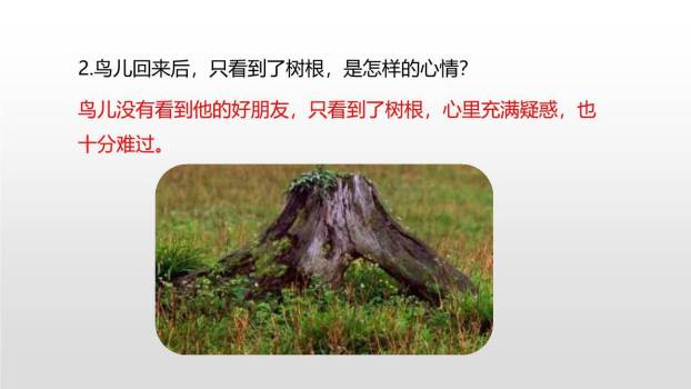 去年的树PPT课件53