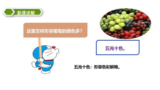 葡萄沟PPT课件58