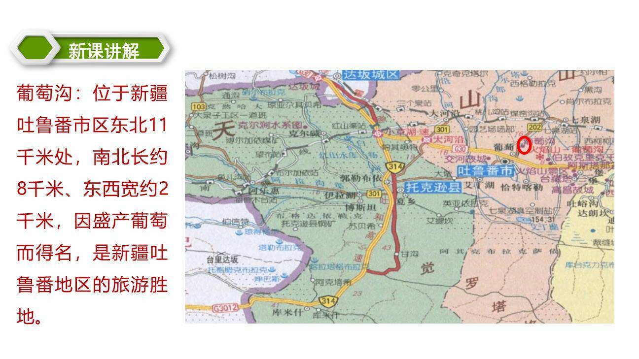 葡萄沟PPT课件51