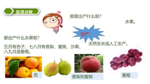 葡萄沟PPT课件52