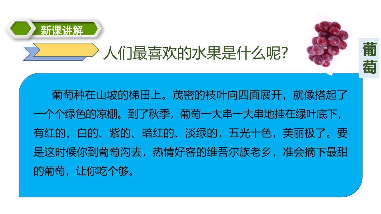 葡萄沟PPT课件53