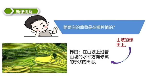 葡萄沟PPT课件54