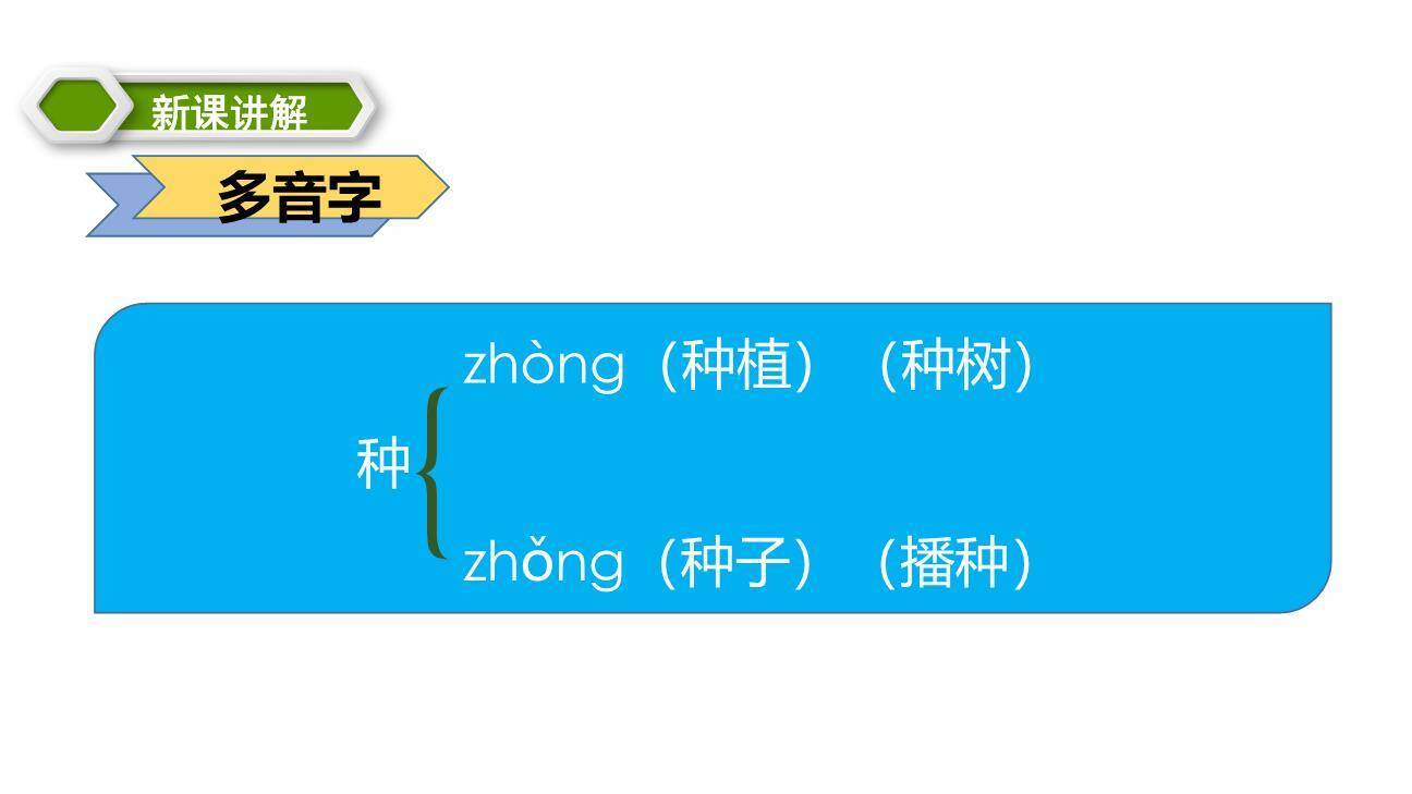 葡萄沟PPT课件55