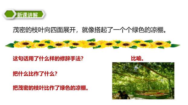 葡萄沟PPT课件56