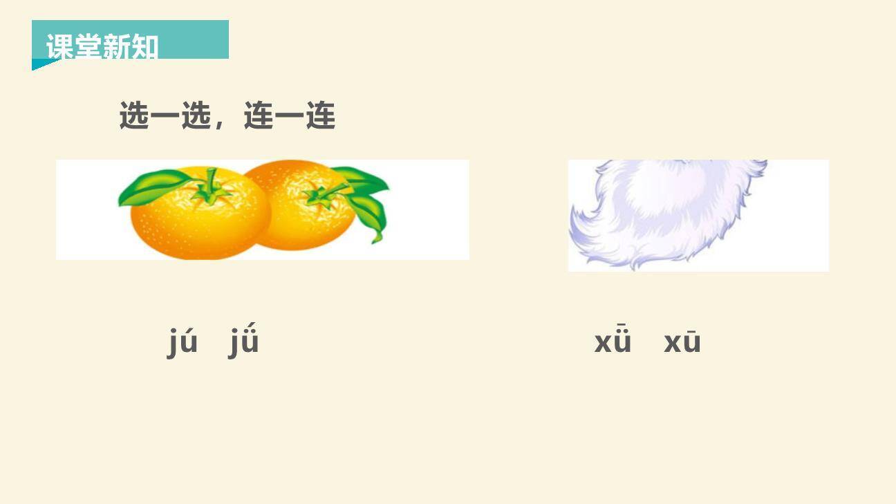 《jqx》PPT课件11