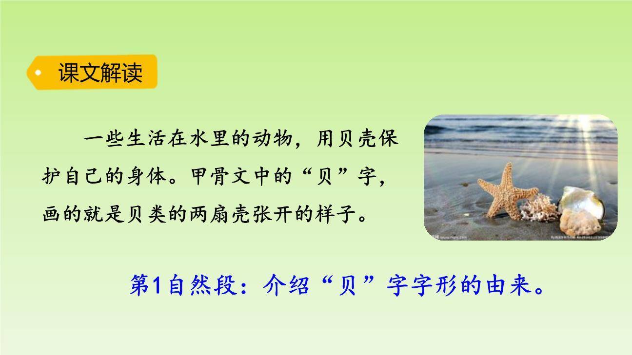 贝的故事PPT课件16