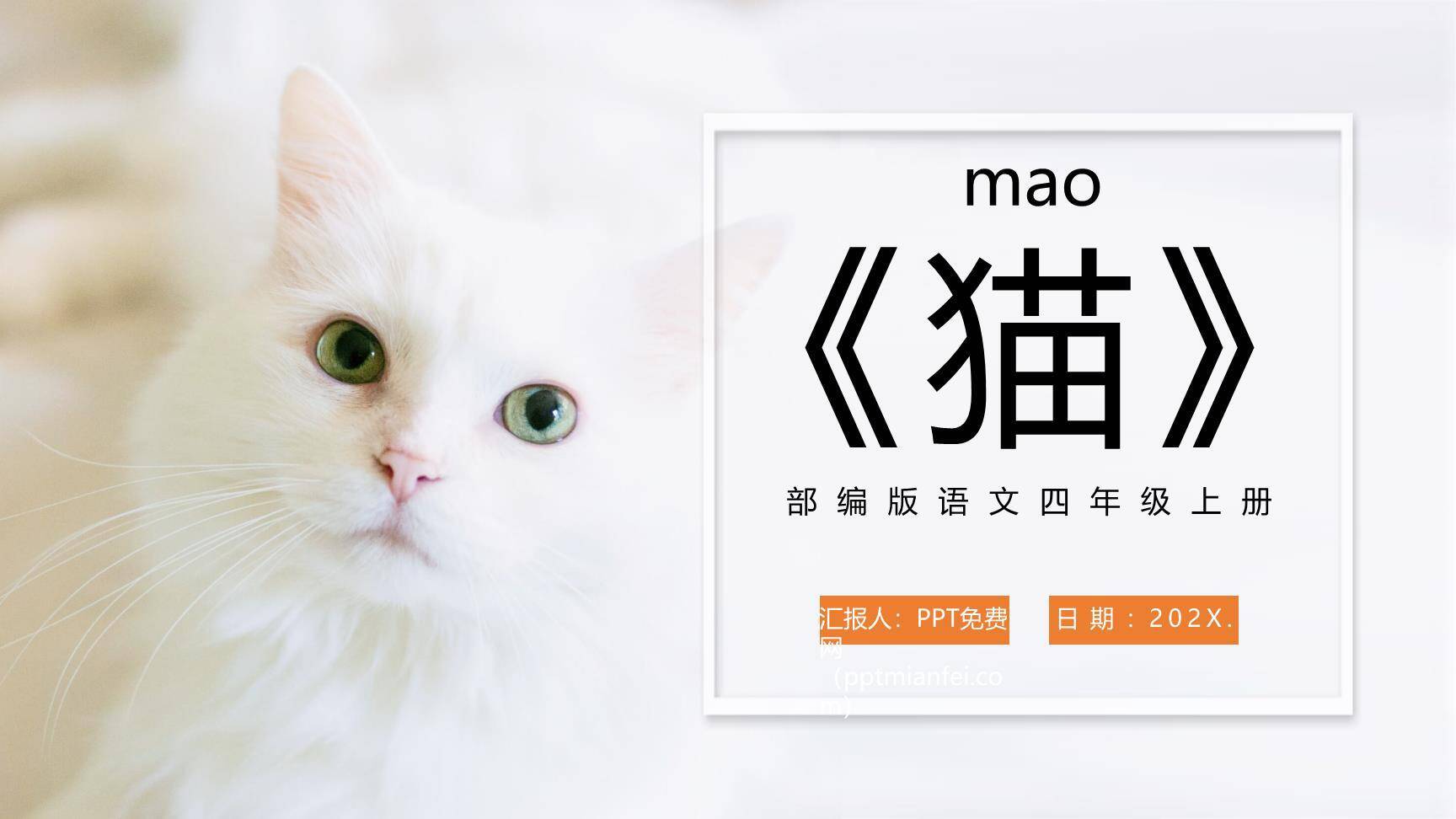 猫PPT课件80