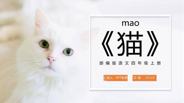 猫PPT课件80