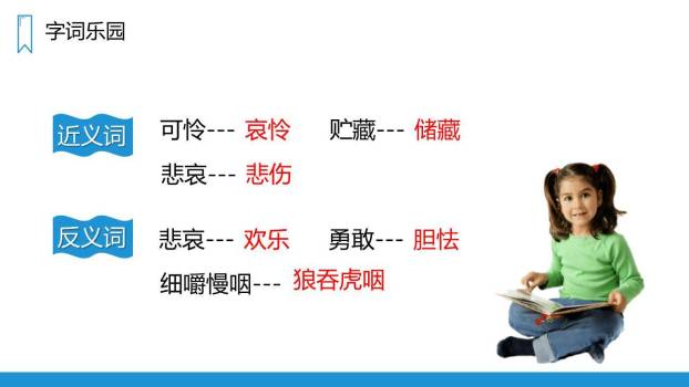 在牛肚子里旅行PPT课件15