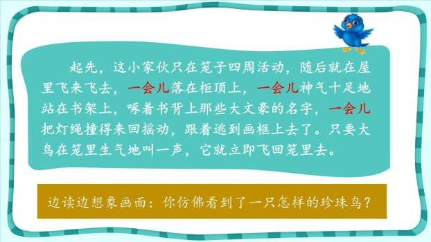 珍珠鸟PPT课件35