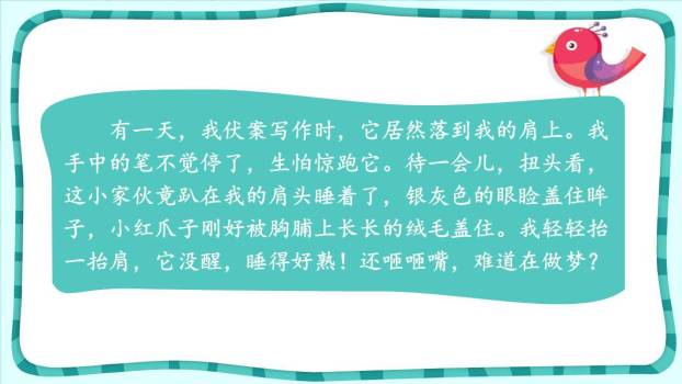 珍珠鸟PPT课件37