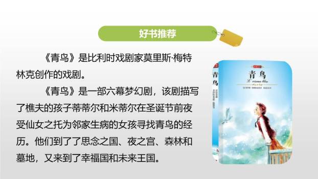 他陶醉了PPT课件28