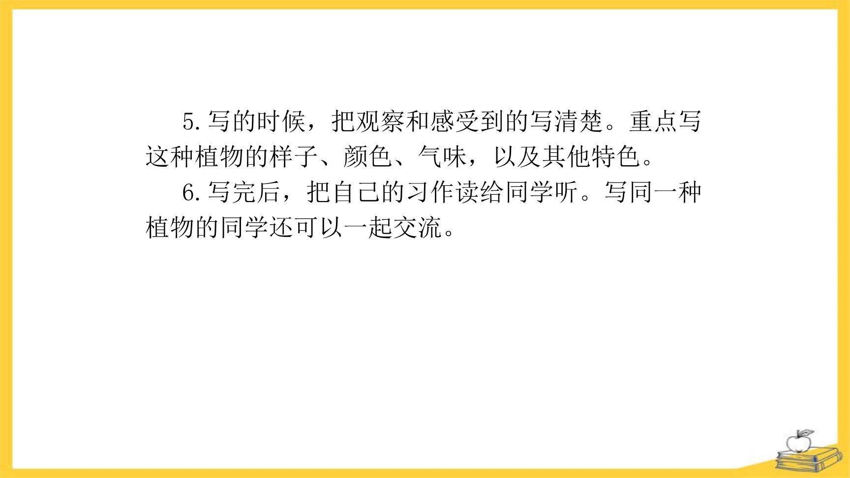 我的植物朋友PPT课件18