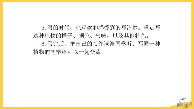 我的植物朋友PPT课件18