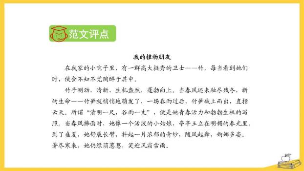 我的植物朋友PPT课件12