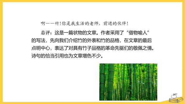 我的植物朋友PPT课件14