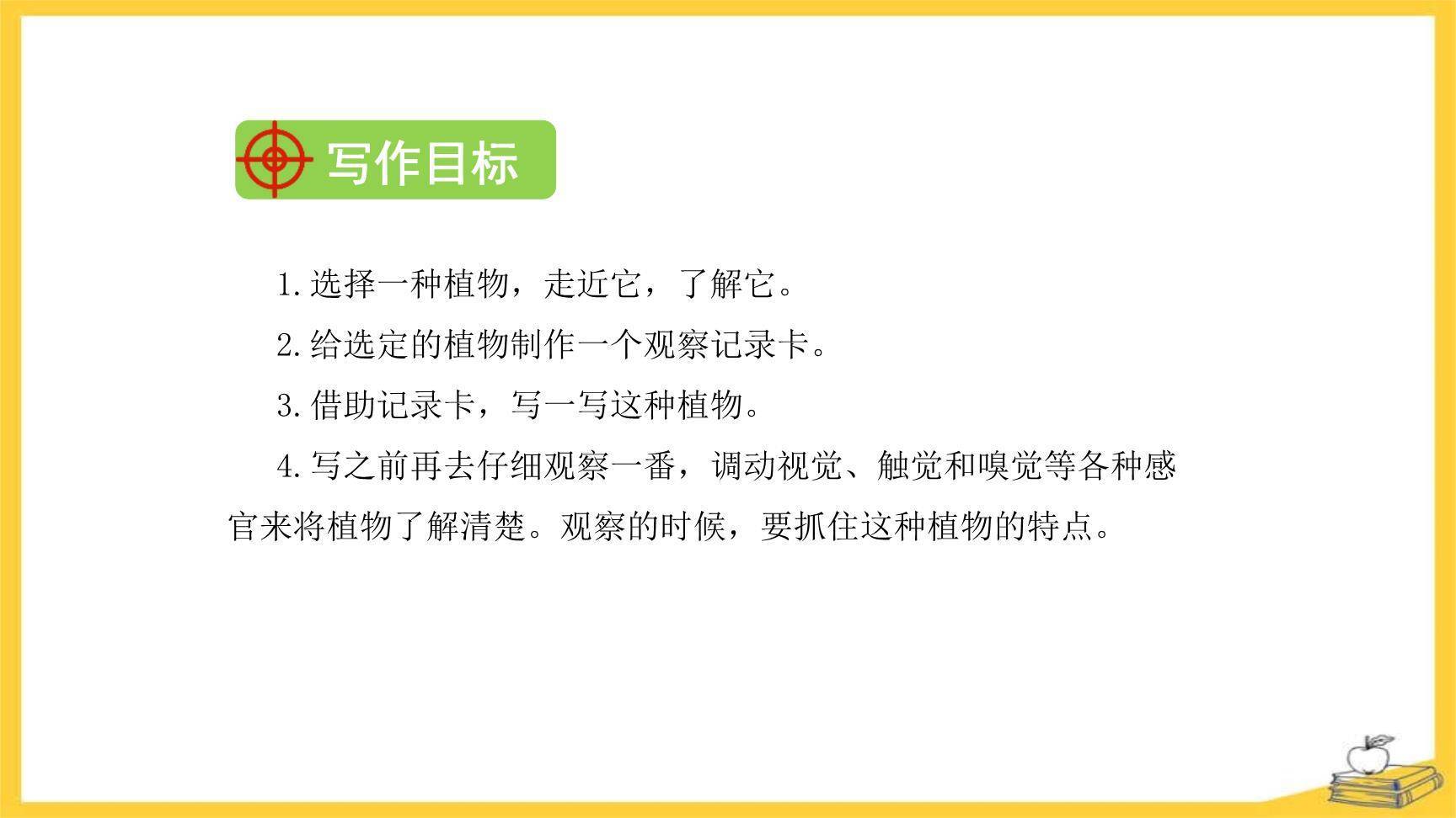 我的植物朋友PPT课件17