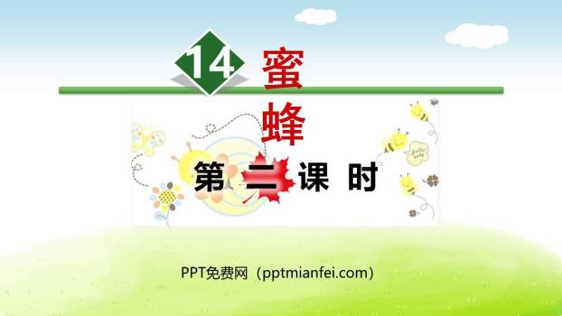 蜜蜂PPT课件70