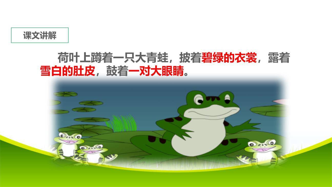 小蝌蚪找妈妈PPT课件66