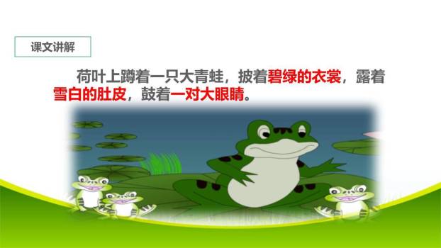 小蝌蚪找妈妈PPT课件66