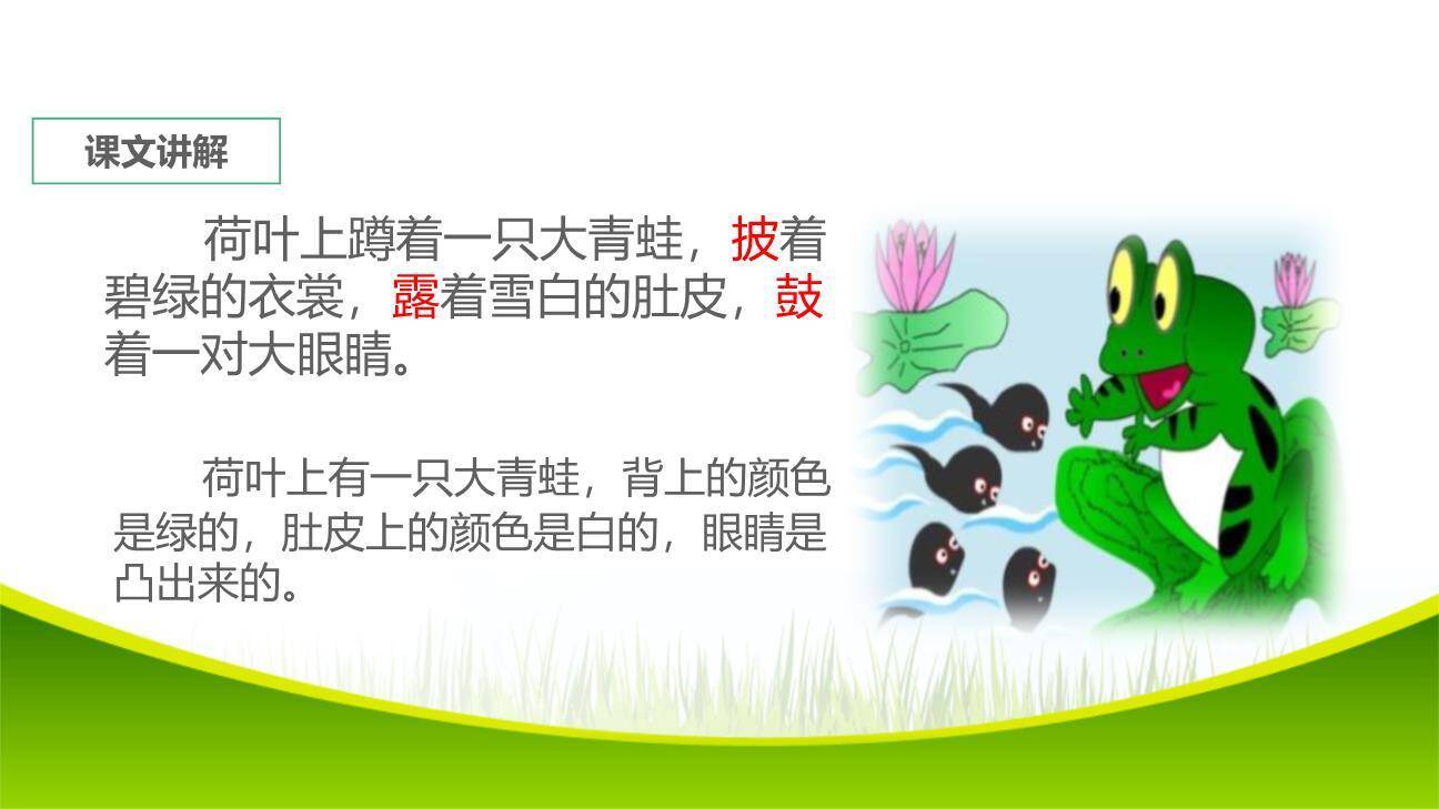 小蝌蚪找妈妈PPT课件67