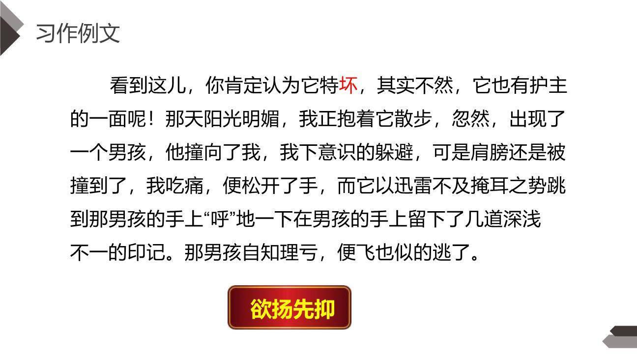 我的动物朋友PPT课件18