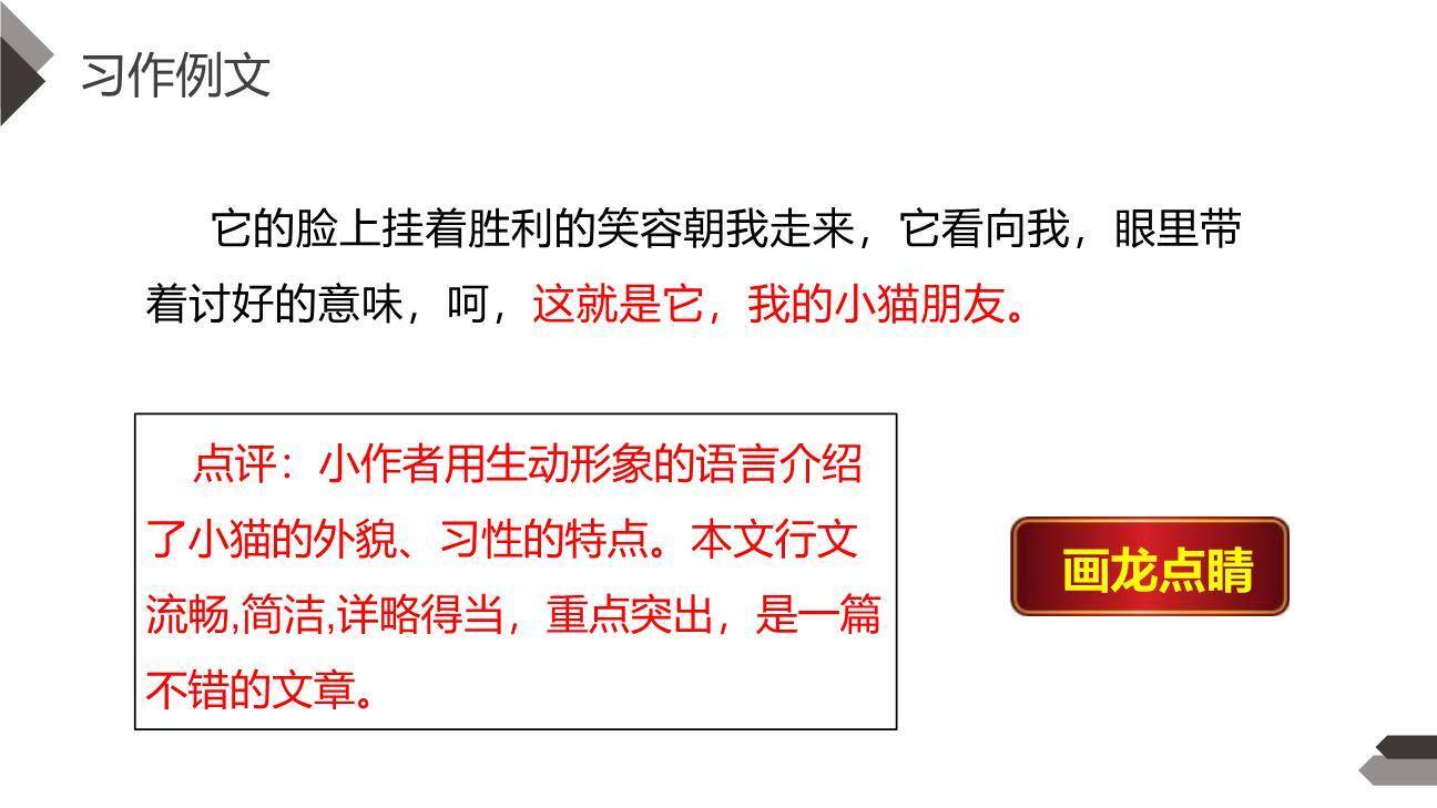 我的动物朋友PPT课件19