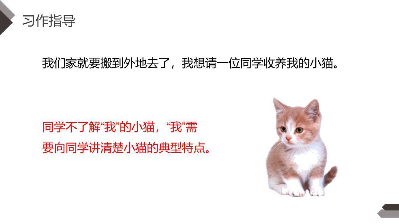 我的动物朋友PPT课件15