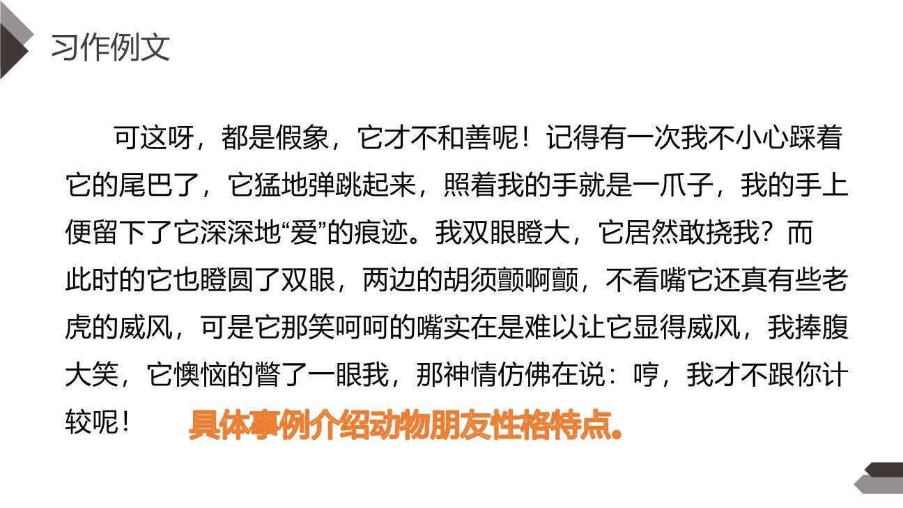 我的动物朋友PPT课件17