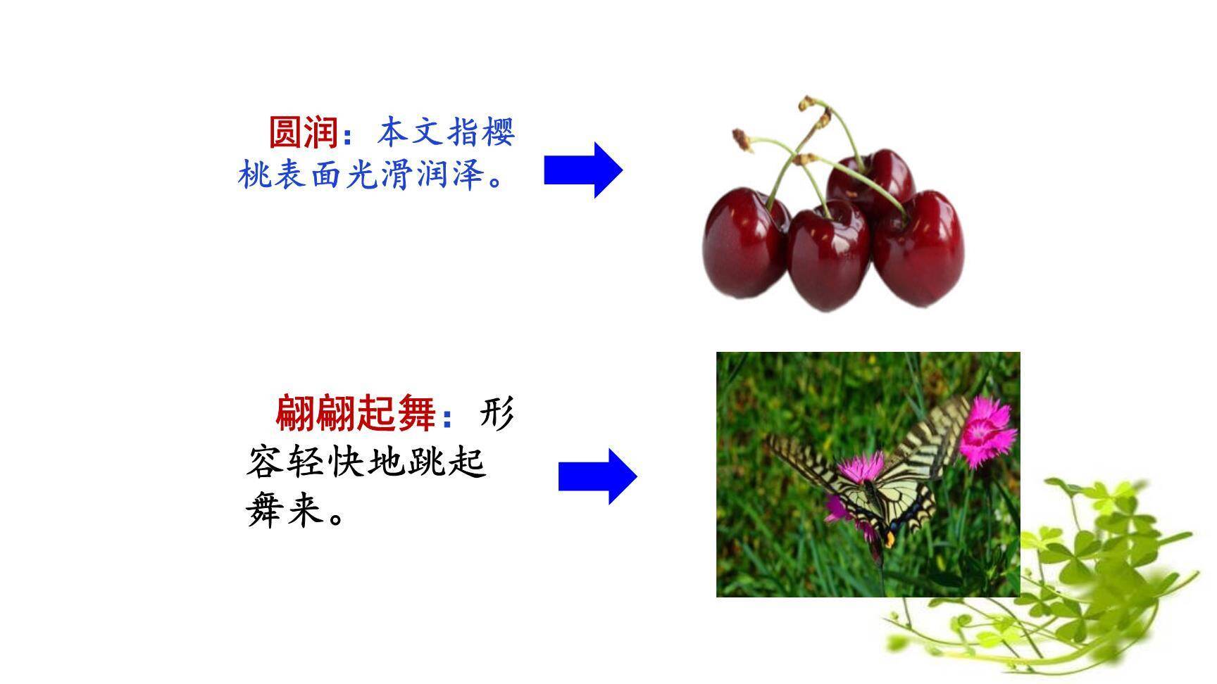 我们奇妙的世界PPT课件75