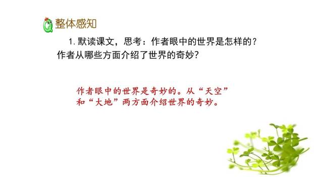 我们奇妙的世界PPT课件76