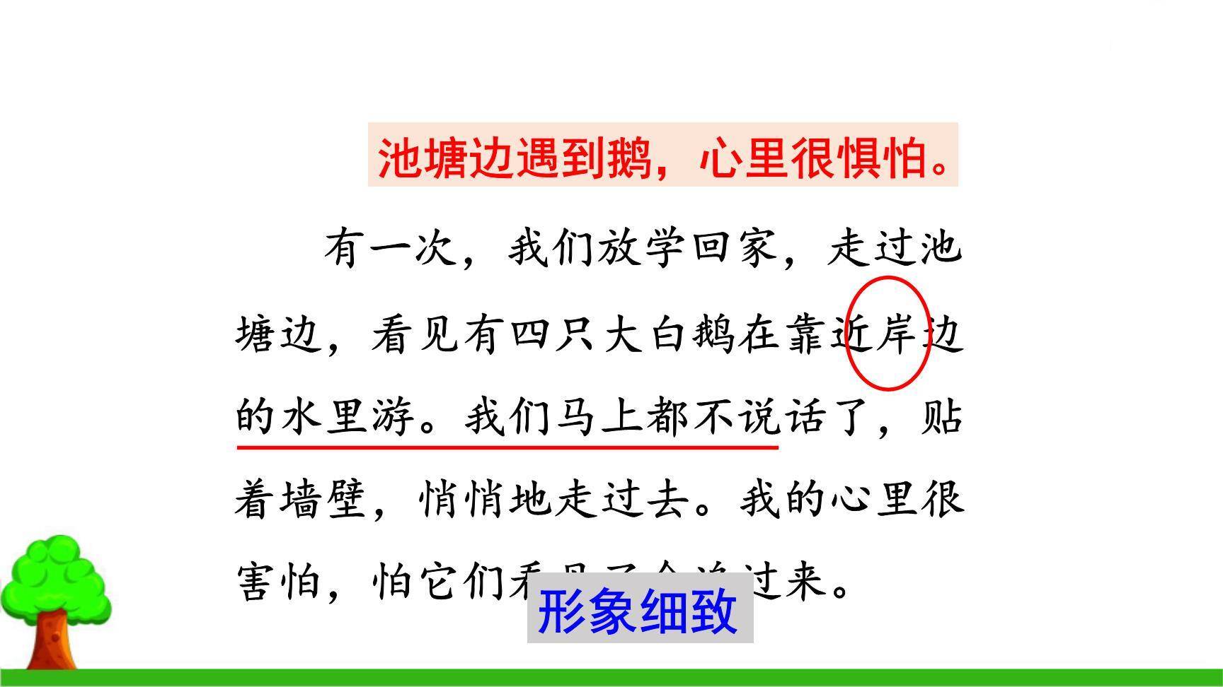 牛和鹅PPT课件58