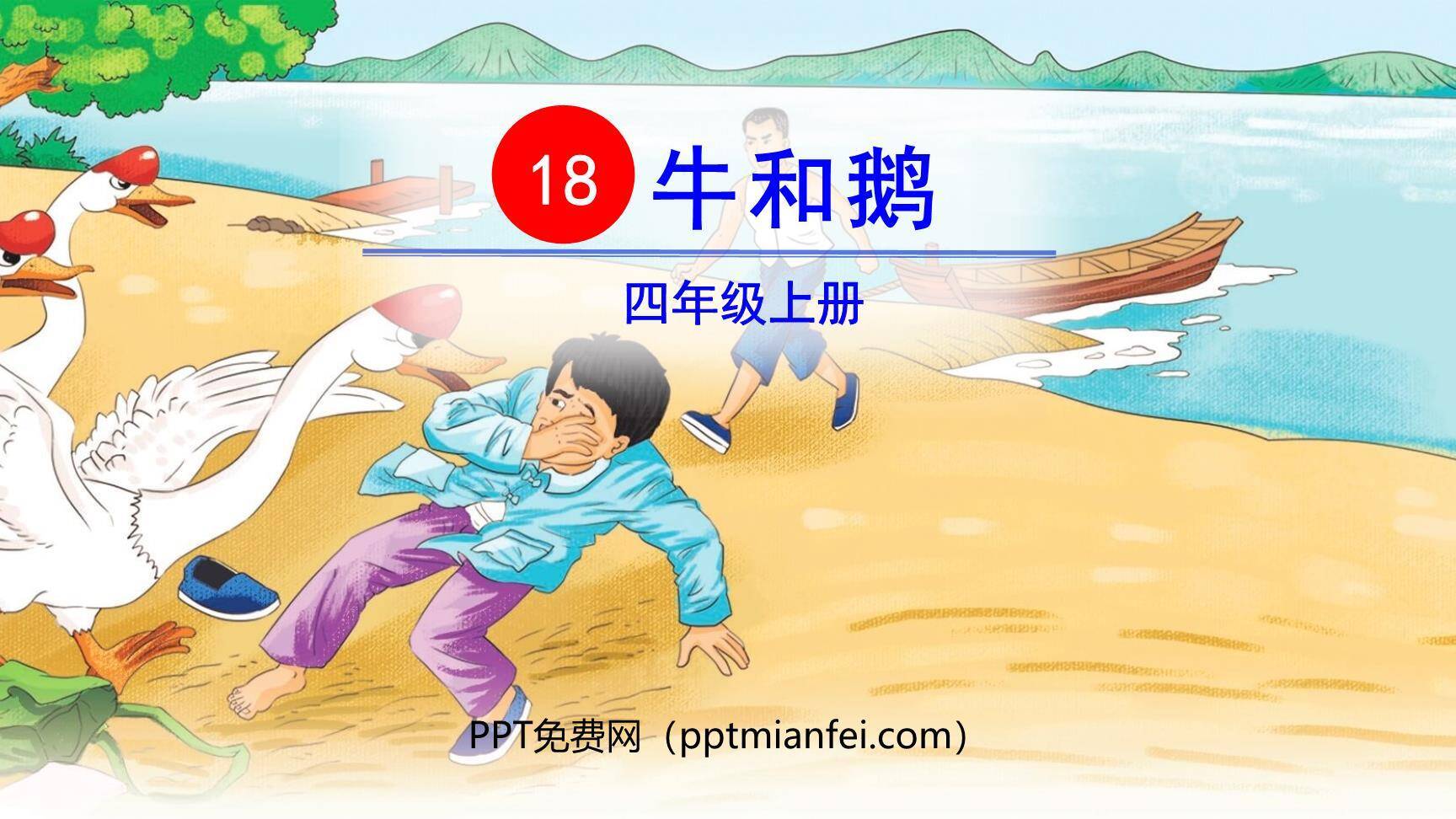 牛和鹅PPT课件50