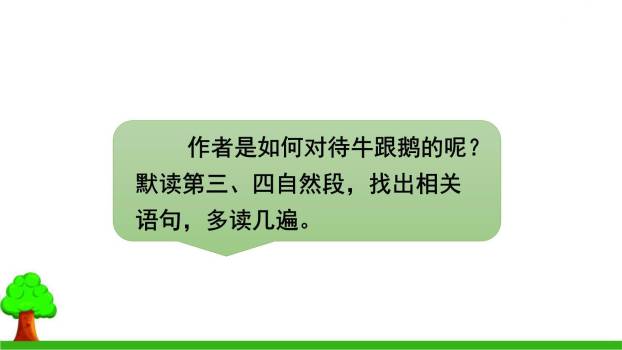 牛和鹅PPT课件53