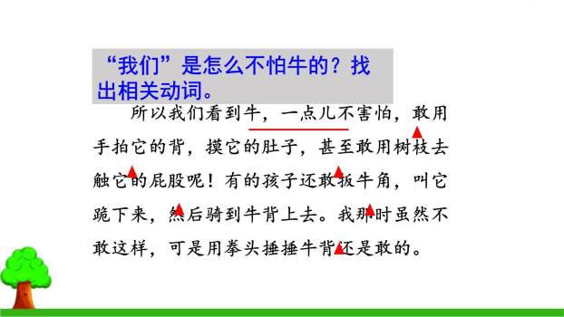 牛和鹅PPT课件54