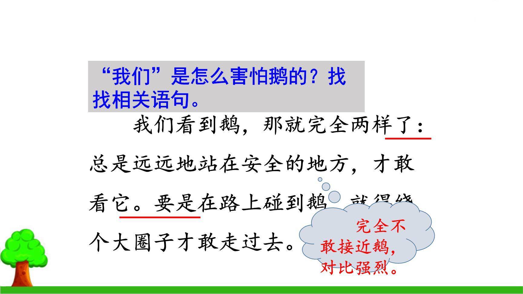 牛和鹅PPT课件56