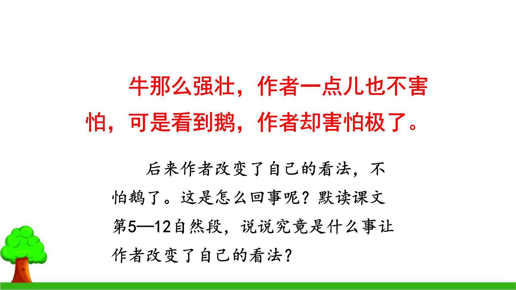 牛和鹅PPT课件57